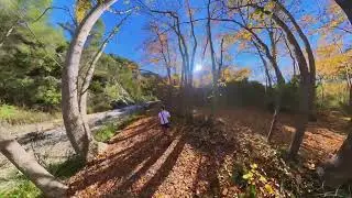 La tardor en el Barranc de l'Encant&agrave;