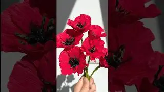 DIY cute paper flowers poppy flower Craft