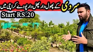 Karachi Sasti Nursery Tour 2025! Cheapest Plants Ever?JUST RS:20 ropes start 😱🌿 #viralvideo 