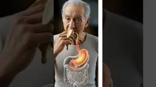 Banana Digestion 🍌  Energy & Potassium Balance in 3D Human Anatomy Animation