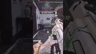 sequence 314 call of duty mw2 hotel 10kill streak with my Taq-56 and VAznev-9k