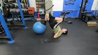 Single-Leg Lying Leg Curls w/ Exercise Ball