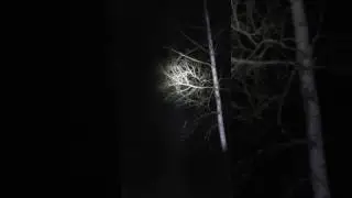 olight R40 seeker