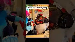 24 seconds at the Fizzy Fox you&rsquo;ll never get back #furry #fursuit #furries