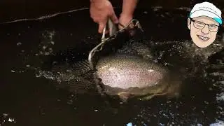 Store fisk til Efter&aring;rs Ferien i Stenvad Put & Take