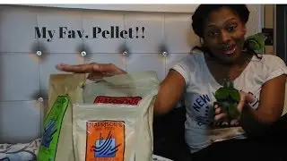 What are the Best Pellets For Parrots?