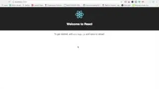 Start a react app without webpack configurations