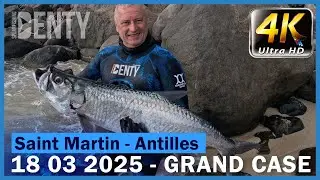 Les Tarpons Antillais de Saint Martin en Chasse sous-marine