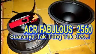 Оцените звучание 10-дюймовой акустической системы ACR Tak Tung.