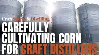 Carefully Cultivating Corn for Craft Distillers
