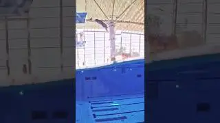 Can you dive from 5 with a DRYSUIT? #underwater
