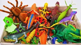 ZURU ROBO ALIVE COLLECTION | UNBOXING Robot Tarantula Spider, New Robo Alive Giant Snake creepers
