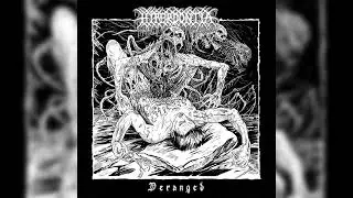 Hyperdontia - 