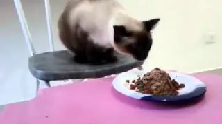 xxx nIvEr de 1 anO dA PeR&oacute;LaXXXX