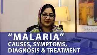 What is Malaria | Causes, Symptoms, Diagnosis & Treatment - Chughtai Lab Online
