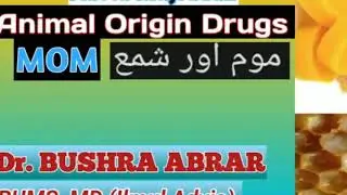 Animal origin Drugs|| Advia Haivania||Mom, Bees Wax،شمع, ,Unani medicine