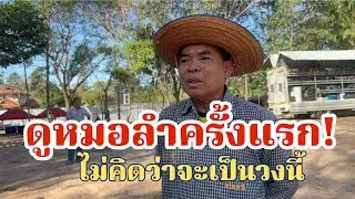 ดูหมอลำครั้งแรก!ไม่คิดว่าจะเป็นลำเพลินโชว์