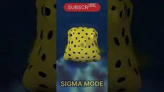 बॉक्सफिश की रंगीन दुनिया| Beauty of Boxfish| #shorts #shortsfeed #ytshorts #boxfish #sigmamind #fact