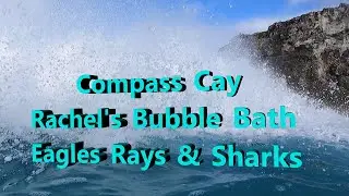 Compass Cay - Rachels Bubble Bath - Eagle Rays & Sharks