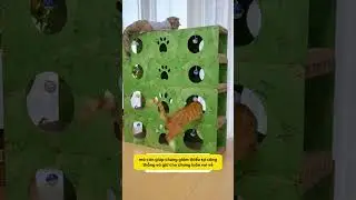 Kh&aacute;m Ph&aacute; Bộ Sản Phẩm Chăm S&oacute;c Th&uacute; Cưng Từ Nota Pet !! #notapetvn #fyp #pet #cat #dog #cute #funny