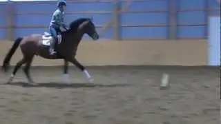 CIMG1538