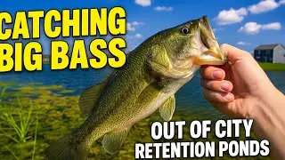 Catching Big Bass Out Of City Retention Ponds