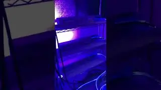 a set of UV LED curing system for KBA offset printing