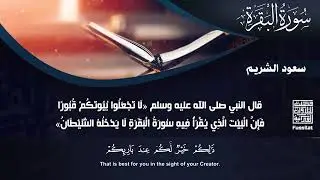 سورة البقرة كاملة بدون اعلانات فضيلة الشيخ سعود الشريم surah baqarah saud shuraim