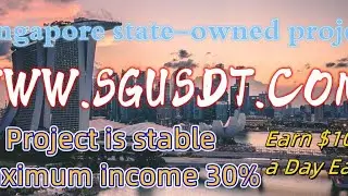 Singapore State Investment WWW.SGUSDT.COM. State-owned enterprise, safe and worry-free. SGUSDT world