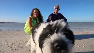 Local Community: Charming Dunedin, Florida's FAVORITE small town