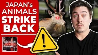 Animal Attacks in Japan Rising Against Foreign Tourists | @AbroadinJapan #128