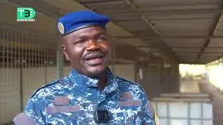 Immersion au centre d'instruction cynotechnique de la gendarmerie Lgi Mbao.