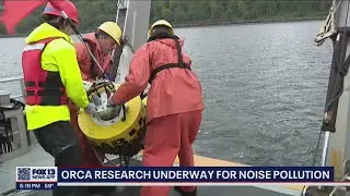 Research on 'noise pollution' underway in Puget Sound | FOX 13 Seattle