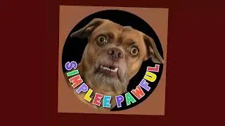 Welcome to Simplee Pawful where we laugh at our four-paw family members and friends. #petlovers