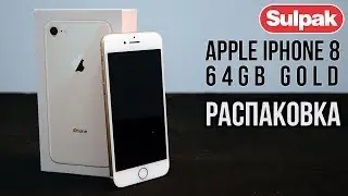 Смартфон Apple iPhone 8 64GB Gold (MQ6J2RM/A) распаковка (www.sulpak.kz)