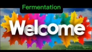 🔴Grade 12 bio unit 3 fermentation