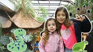 CREEPY CRAWLIES Shanghai natual wild insect kingdom