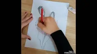 Draw easy tulip 🌷 with Emphasis techniques.