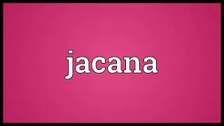 Jacana Meaning