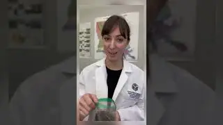 Soil smell #SensoryExperience #OrganicMatter #MicrobialLife #soilscience  #gogreen  #GardenLife