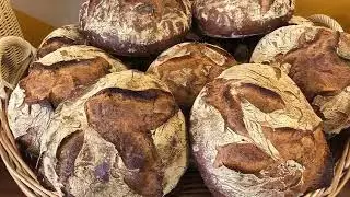 BrotStar 3000 mit Abwieger 3000