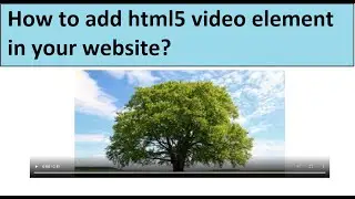html5 video | How to add html5 video to your website - DK Technologies