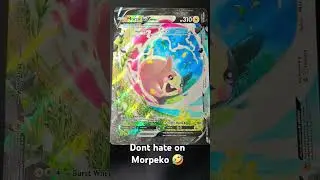 #pokemonchannel#pokemoncards#pokemonpacksdaily#pokemontcg#pokemongo#pokemon#fyp#viralvideo#morpeko