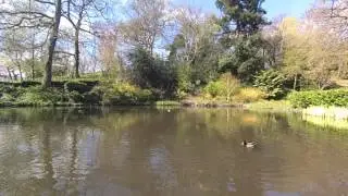 YI 4K Action Camera 1920x1280 120fps test video