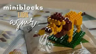 Cozy ASMR 🦁 Building a Golden Lion | Miniblocks Unboxing (No Talking)