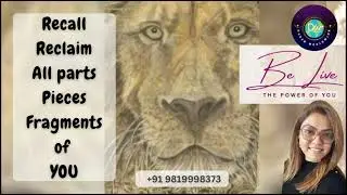 RECLAIM Fragments#reclaimyourpower#lion #spiritanimal#shaman#energyhealing #shakti#archangelmicheal 