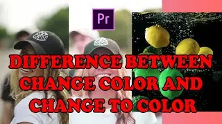 Difference between Change Color and Change to Color | Infotech Gyan | C/O Tech