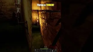 Darker And Darker Solo Tips and Tricks: Torch Trap