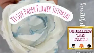 Tissue paper flower Workshop/ Tutorial| white Roses|Carnations| #craft #tissuepaperart #fypシ 