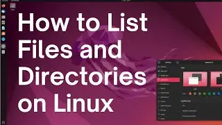 Как использовать команду ls для вывода списка файлов и каталогов в Linux